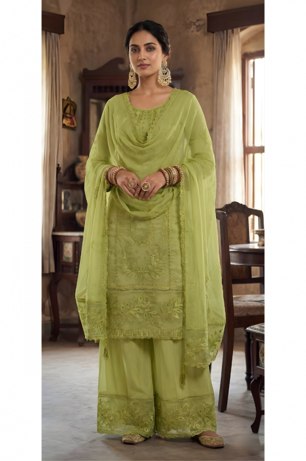 2 Embroidered Organza Suit in Light Green