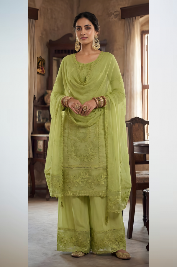 tbs (7) Embroidered Organza Suit in Light Green
